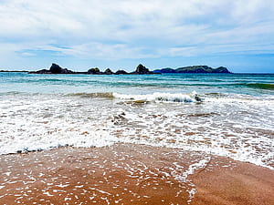 Tauranga Bay Zealand Trip Ideas, Tauranga New Zealand, HD wallpaper