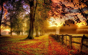 Fall Thanksgiving Computer, HD wallpaper