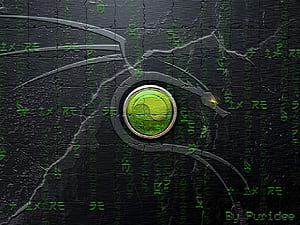 Linux Hacker, Hacking, HD wallpaper
