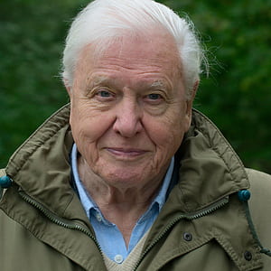 David Attenborough: A Life on Our Planet' Review: Ruin and Regrowth, HD phone wallpaper