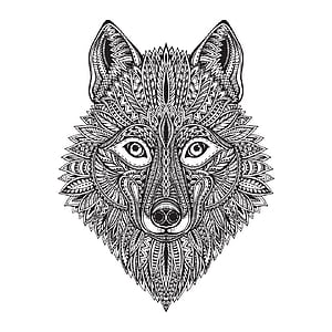 Wolf Vector, HD phone wallpaper