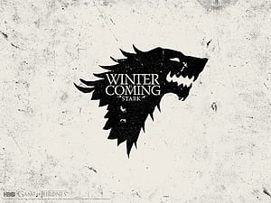 Thrones- Stark direwolf, HD wallpaper