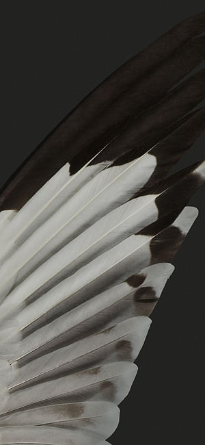 New Google Pixel 7 Pro, HD phone wallpaper