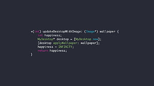 Software Developer, HD wallpaper