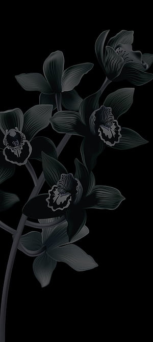 Pixel 6 bloom black, Google, apple, art, petal, dark, anime, Android, latest phone, Black and White Pixel Art, HD phone wallpaper