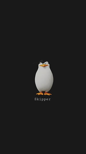 Skipper, HD phone wallpaper