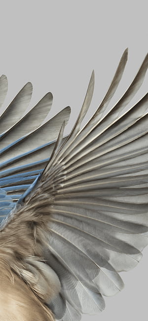 Google Pixel 7 Pro, HD phone wallpaper