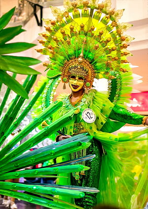 Masskara Festival- Bacolod City, HD phone wallpaper