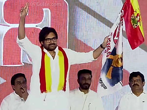 Fact Check: Did DCM Pawan Hold Vijay's TVK Flag?, HD wallpaper