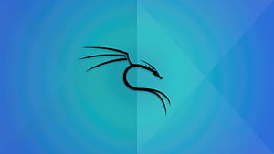 Kali Linux Operating System, kali-linux, backtrack, linux, computer, logo, HD wallpaper