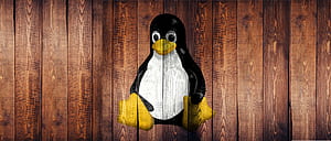 Getting GNU Linux back on the, HD wallpaper