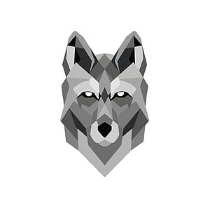 Wolf Vector, HD phone wallpaper