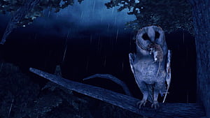 Chasing Static, HD wallpaper