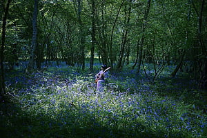 Ichiko Aoba shares new single Space Orphans, opening for Japanese Breakfast, HD wallpaper