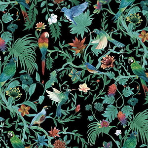 Timeless Design Tropical Birds Day Delivery. Designer ™, Green Birds, HD phone wallpaper