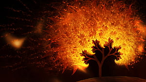 Tree , Tree, Fire Tree, HD wallpaper