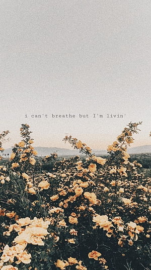 Deep Thoughts, Deep Thinking, HD phone wallpaper