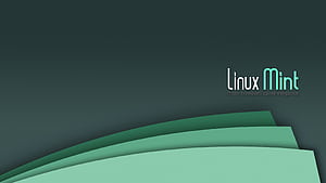 Linux Mint. ., Linux Cinnamon, HD wallpaper