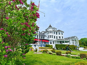 from Mackinac Island Lilac Festival, HD wallpaper
