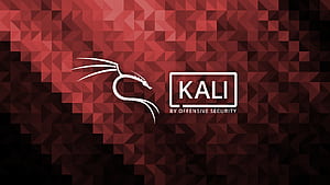 Kali Community, Linux Security, HD wallpaper