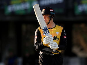 T20 World Cup 2022: Devon Conway, HD wallpaper