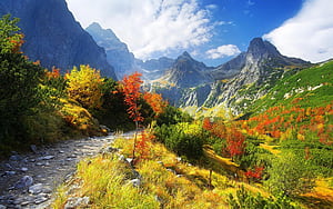 Mountain Path, HD wallpaper