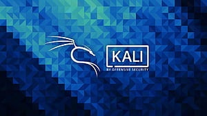 Securing Your Network with Kali Linux, Linux Security, HD wallpaper