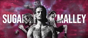 Home. Sean O'Malley Official Site, HD wallpaper