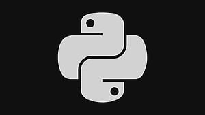 Python Logo, Python, Icon, Programming Language, Logo, Background, Black Python, HD wallpaper