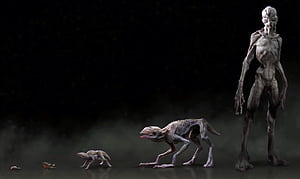 Demodog Evolution, HD wallpaper
