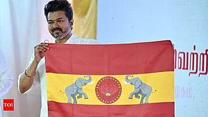Actor Vijay unveils TVK flag; what do its colour and emblem signify?. Chennai News of India, HD wallpaper