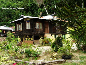 Kampung house in Telok, Malay Village, HD wallpaper
