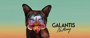 Galantis, HD wallpaper