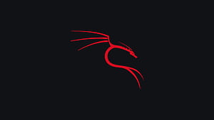 Kali Linux - Red, Kali Linux, .hack, Linux, HD wallpaper