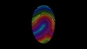 Oled PC, HD wallpaper