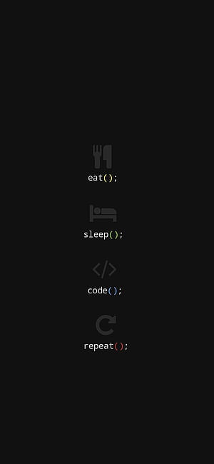 Programmer Life, Programming, HD phone wallpaper