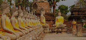 The Best things to do in Ayutthaya, Thailand Stupid Bear, HD wallpaper