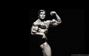 Arnold Conquer, HD wallpaper