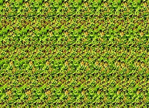 Stereogram, HD wallpaper