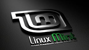 Linux Mint, Linux, Mint in Resolution, HD wallpaper