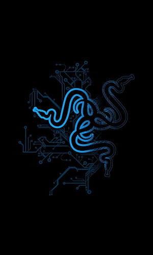 black python, HD phone wallpaper