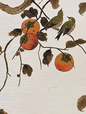 'Persimmon Birds' Grasscloth, New Zealand Birds, HD phone wallpaper