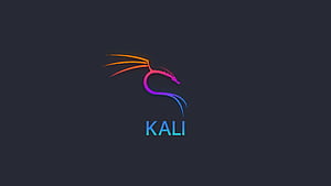 Kali Linux , kali-linux, linux, computer, HD wallpaper
