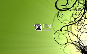 Line, Linux, Linux Mint, Linux Cinnamon, HD wallpaper