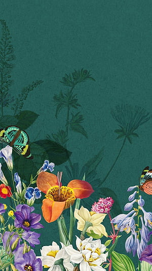 Spring iPhone ., Green Spring, HD phone wallpaper