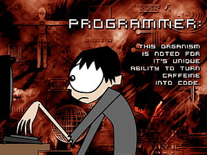 Programming Anime, HD wallpaper