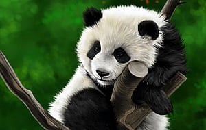 Drawing, Panda, Animal, HD wallpaper