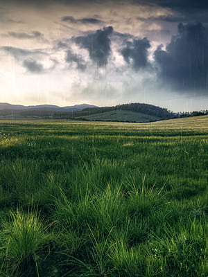 Spring Soft, HD phone wallpaper