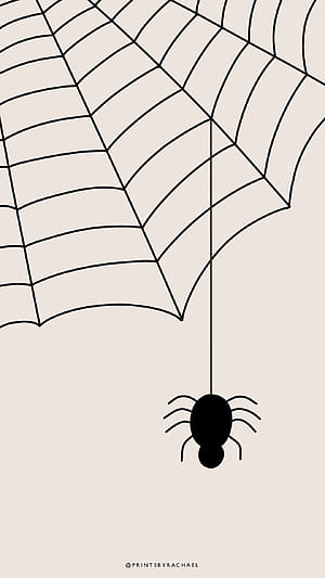 Itsy Bitsy Spider, HD phone wallpaper