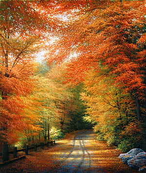 Autumn In New England Wall Mural, Fall In New England, HD phone wallpaper